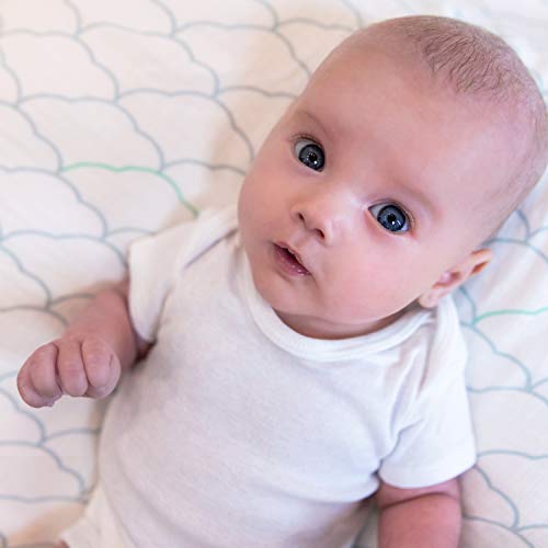 Newton Baby sheet on baby sleeping scene promotes calm nap routine