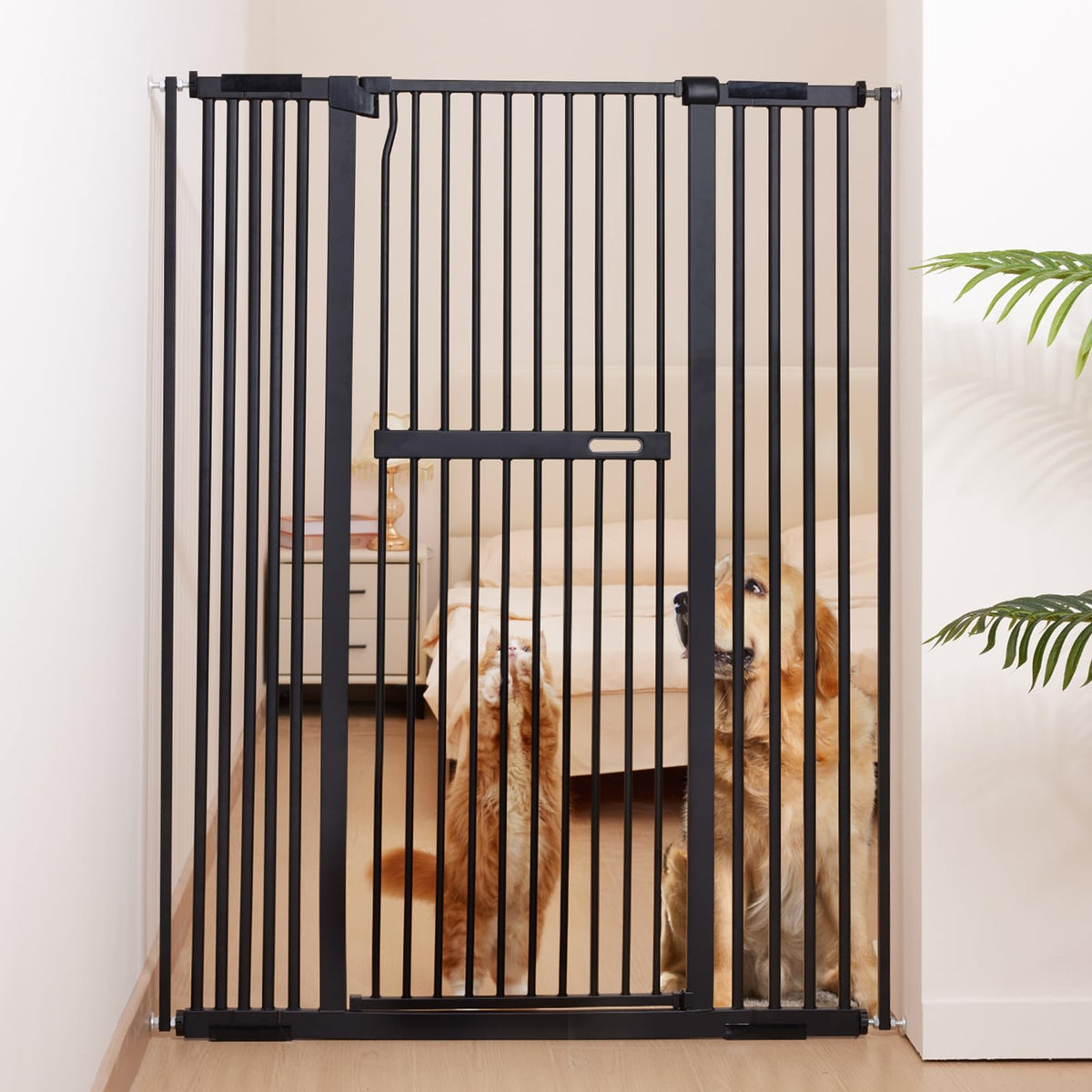 No Pawblems 55.1in gate front view shows sturdy metal frame for secure doorways.