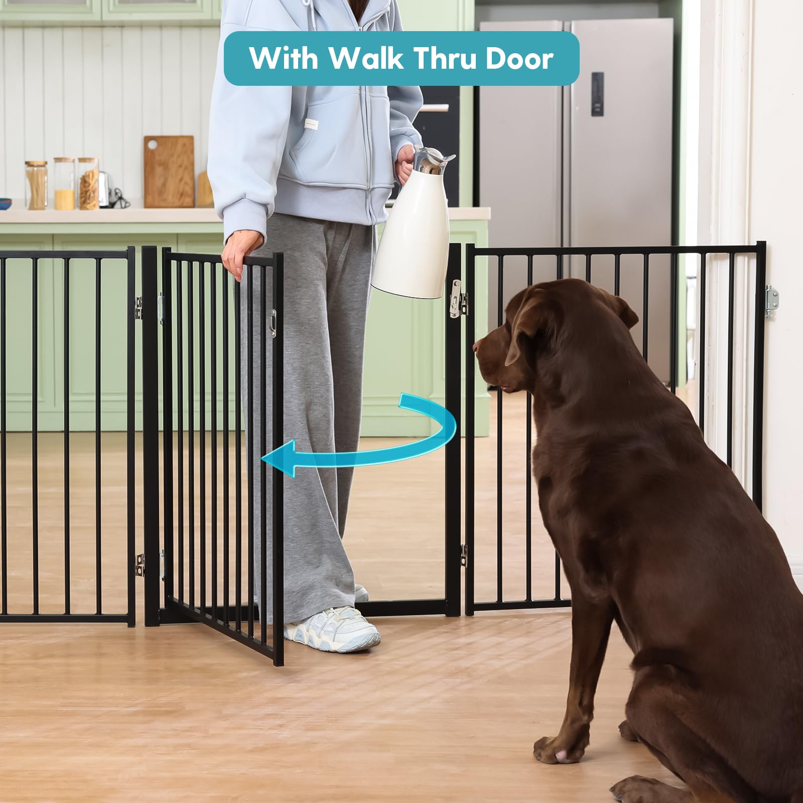 No Pawblems walk-through door shows convenient dual-direction access for busy households.