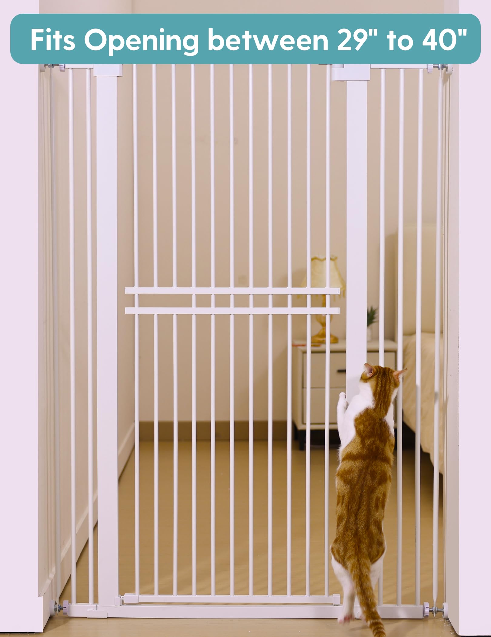 No Pawblems pressure-mounted, no-drill installation example.
