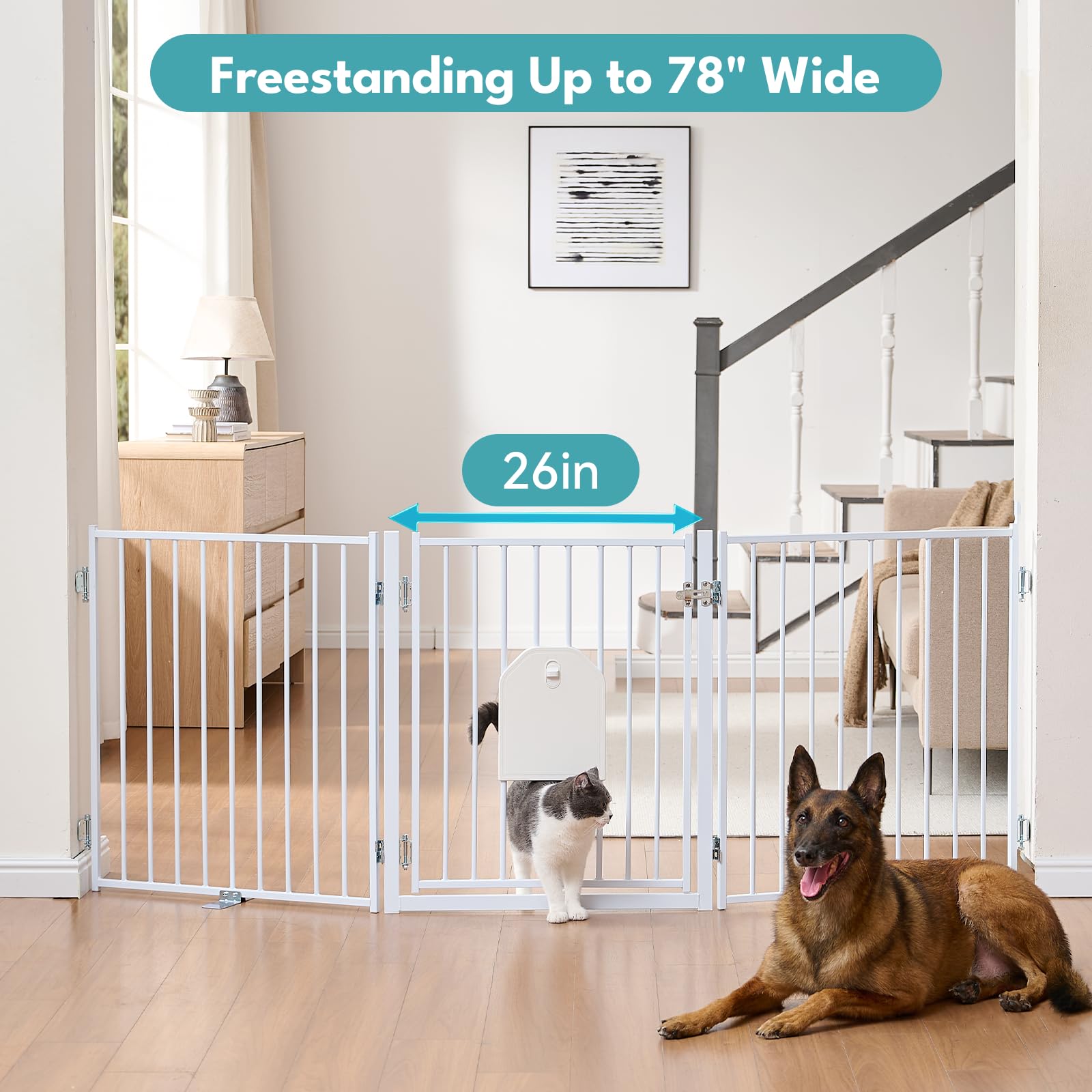 No Pawblems wall-mount option provides stable installation for busy homes.