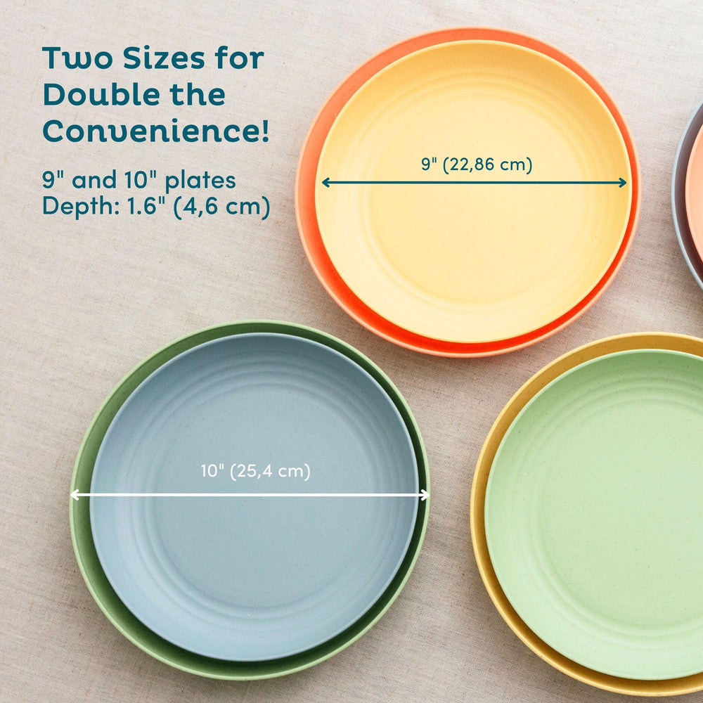 Nook Theory plates during dishwasher cycle ready for top rack cleaning