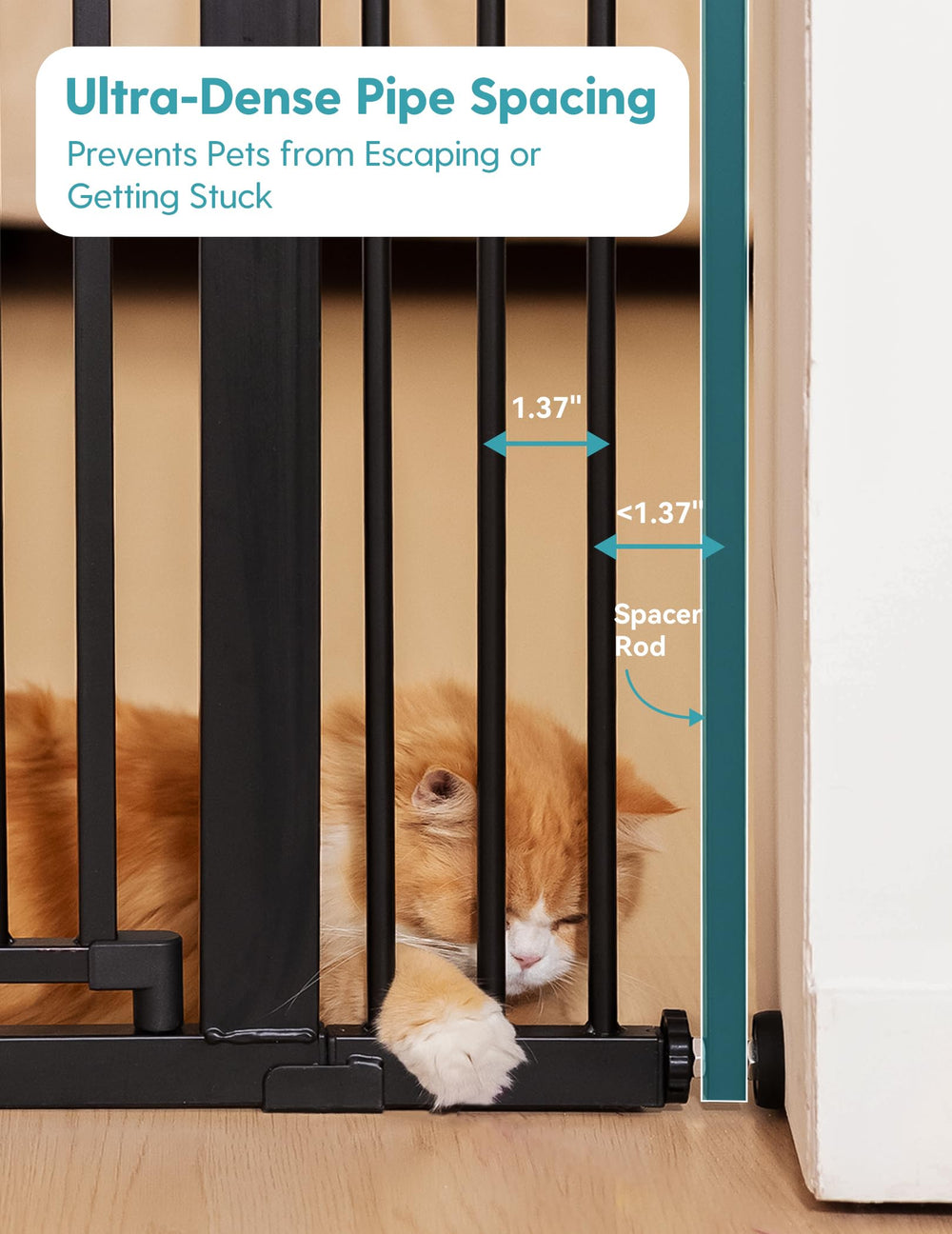 No Pawlems dual-lock safety closeup highlights one-handed operation.