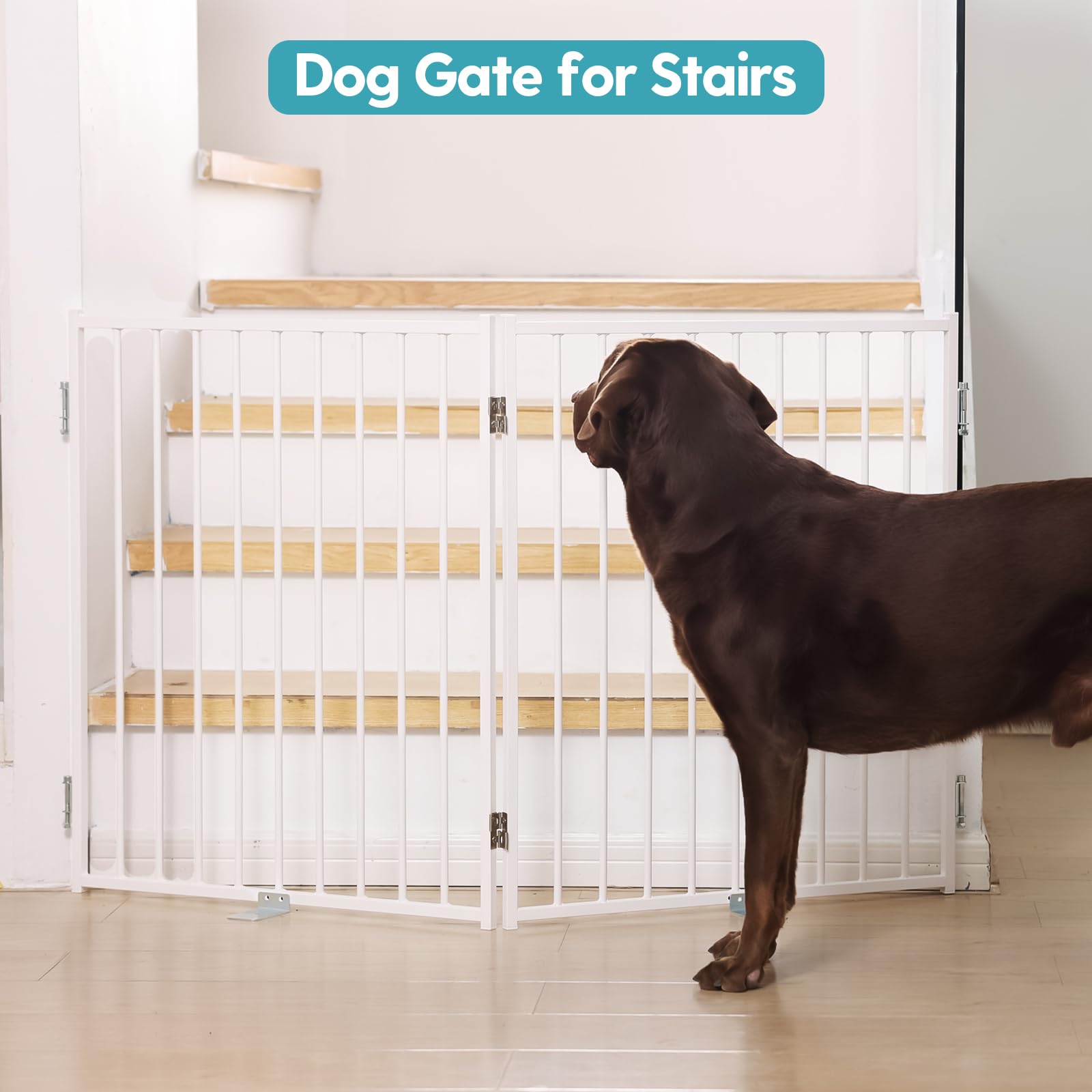 No Pawblems indoor-outdoor gate suits stairs, hallways, decks for versatile use.