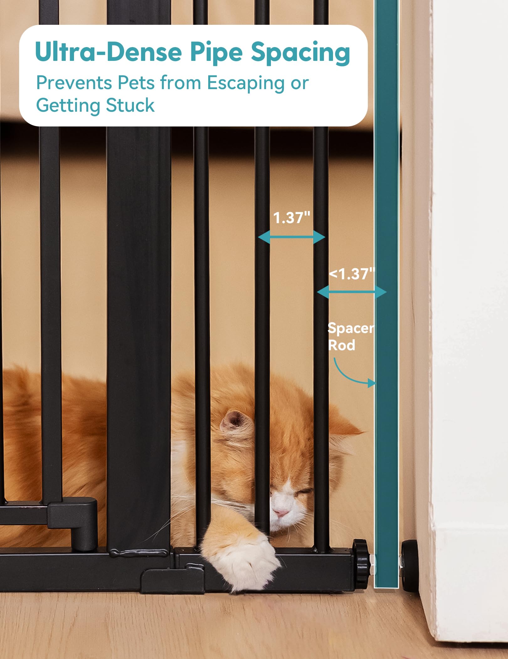 No Pawblems 1.37-gap closeup highlights ultra-narrow spacing preserves space and safety.