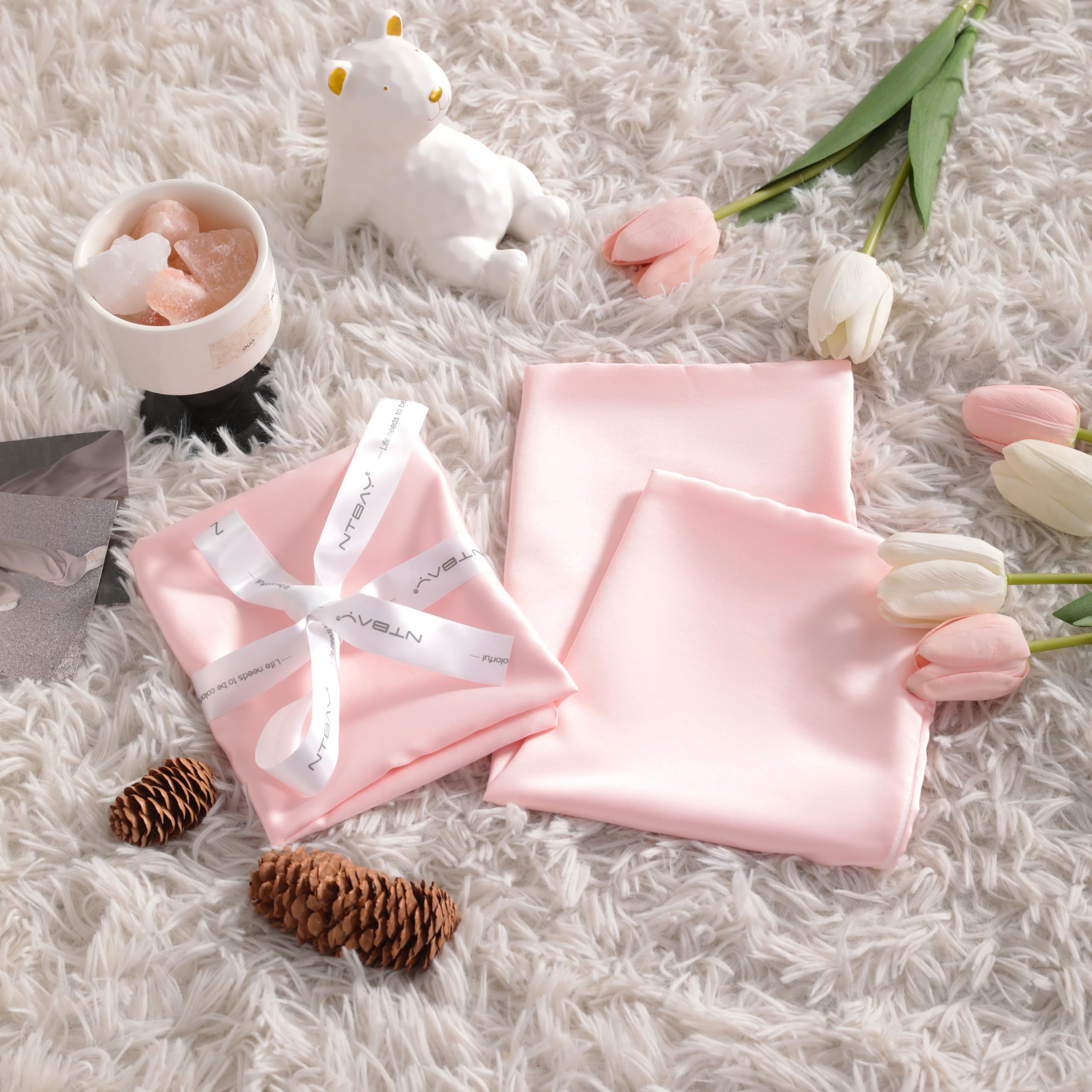 NTBAY 2-pack packaging showcases value and gift-ready presentation.