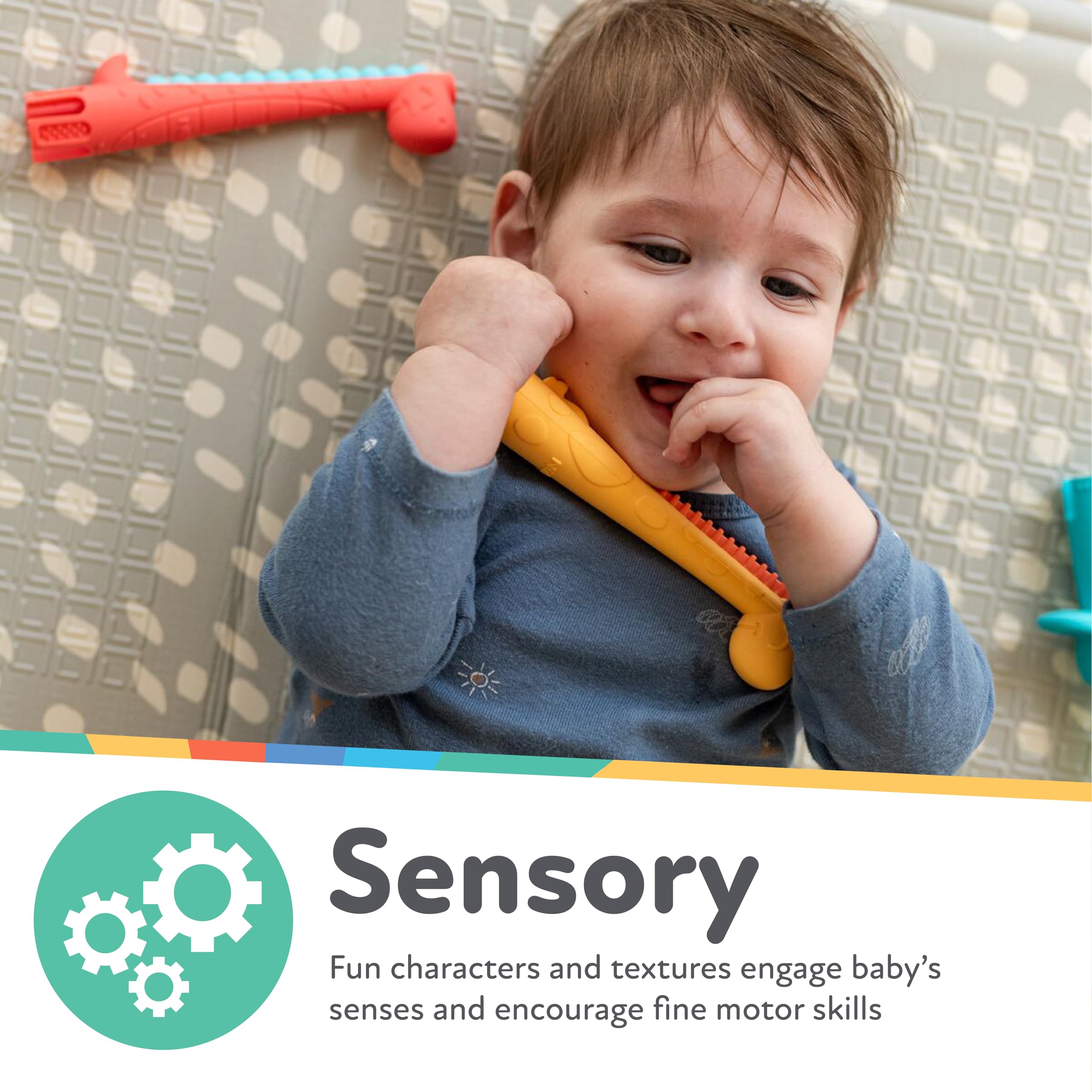 Tube design supports gentle molar eruption while being easy for small hands.