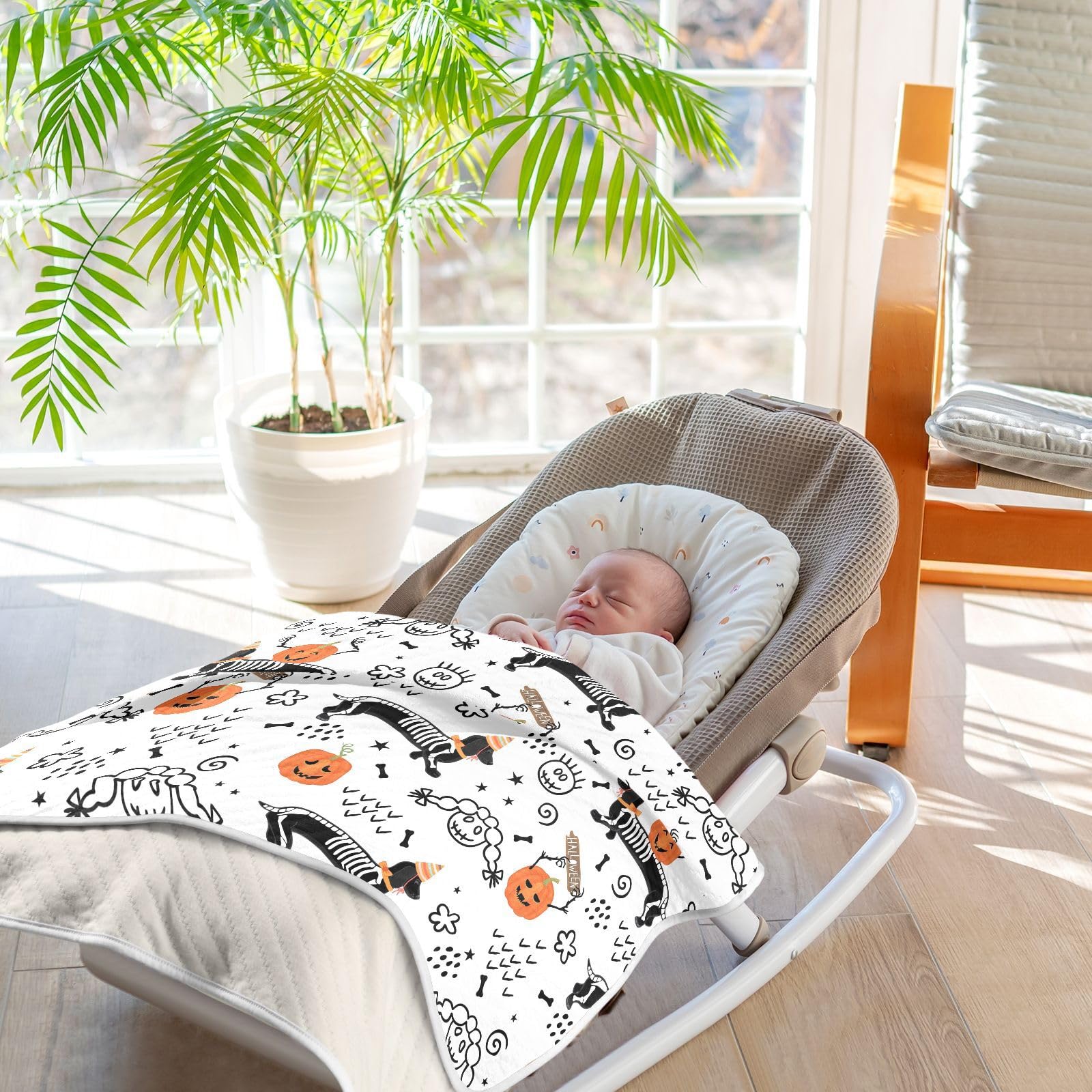 Ollabaky pet bed use illustrates versatile cozy blanket for pets or adults