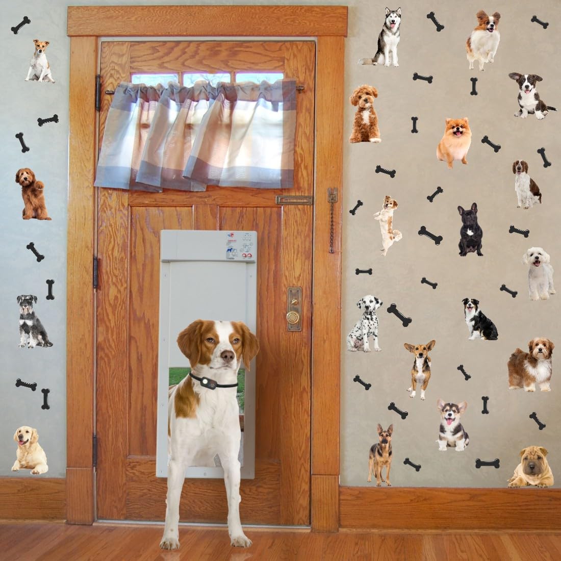 OLMIXA puppy decals brighten living rooms with cheerful canine accents.