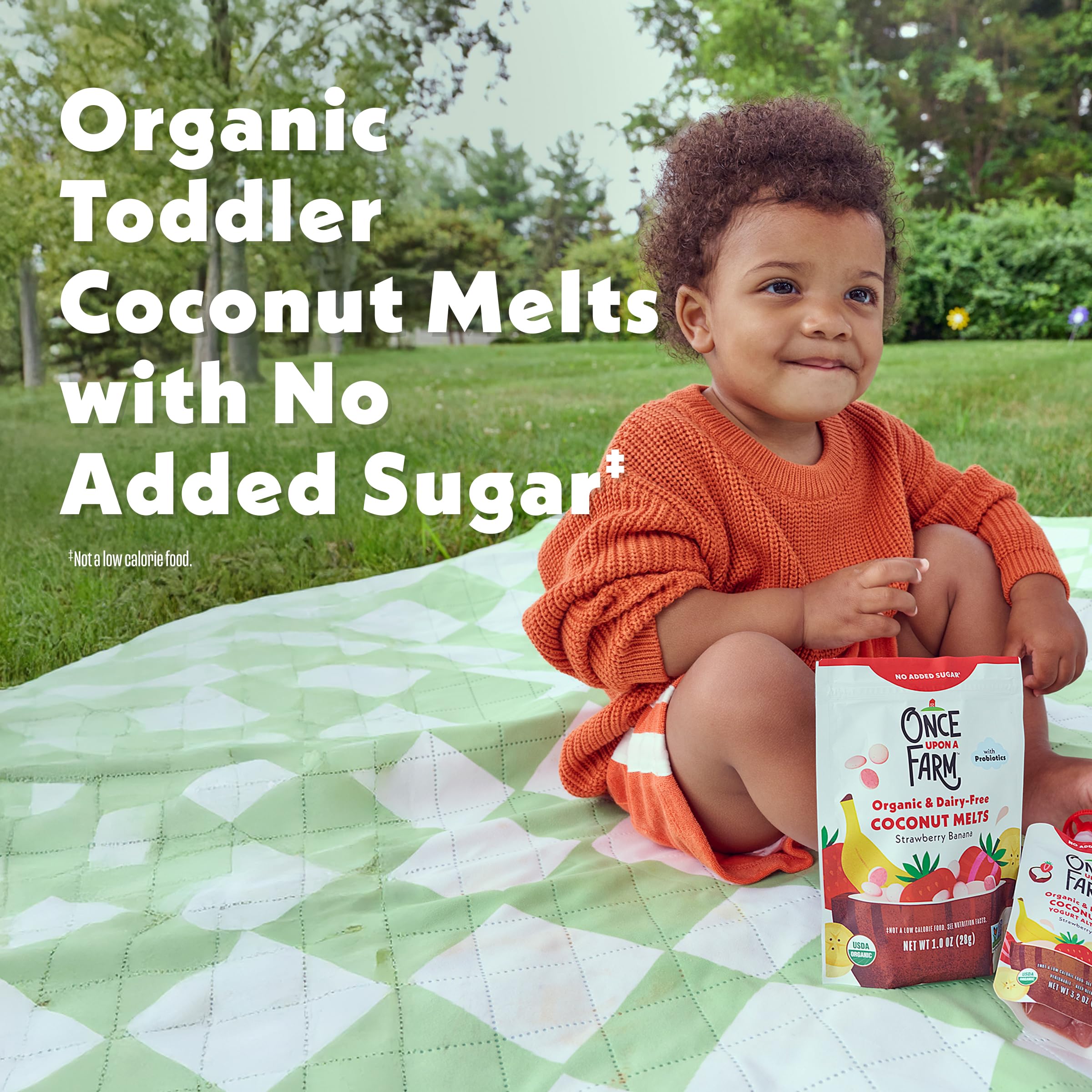 Open bag with multi-pack for pantry, diaper bag, or travel.
