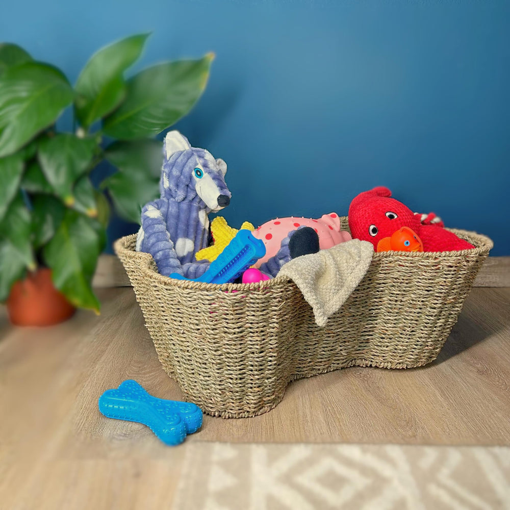 OtterPets dog-toy-bin living-room view demonstrates easy access to toys.