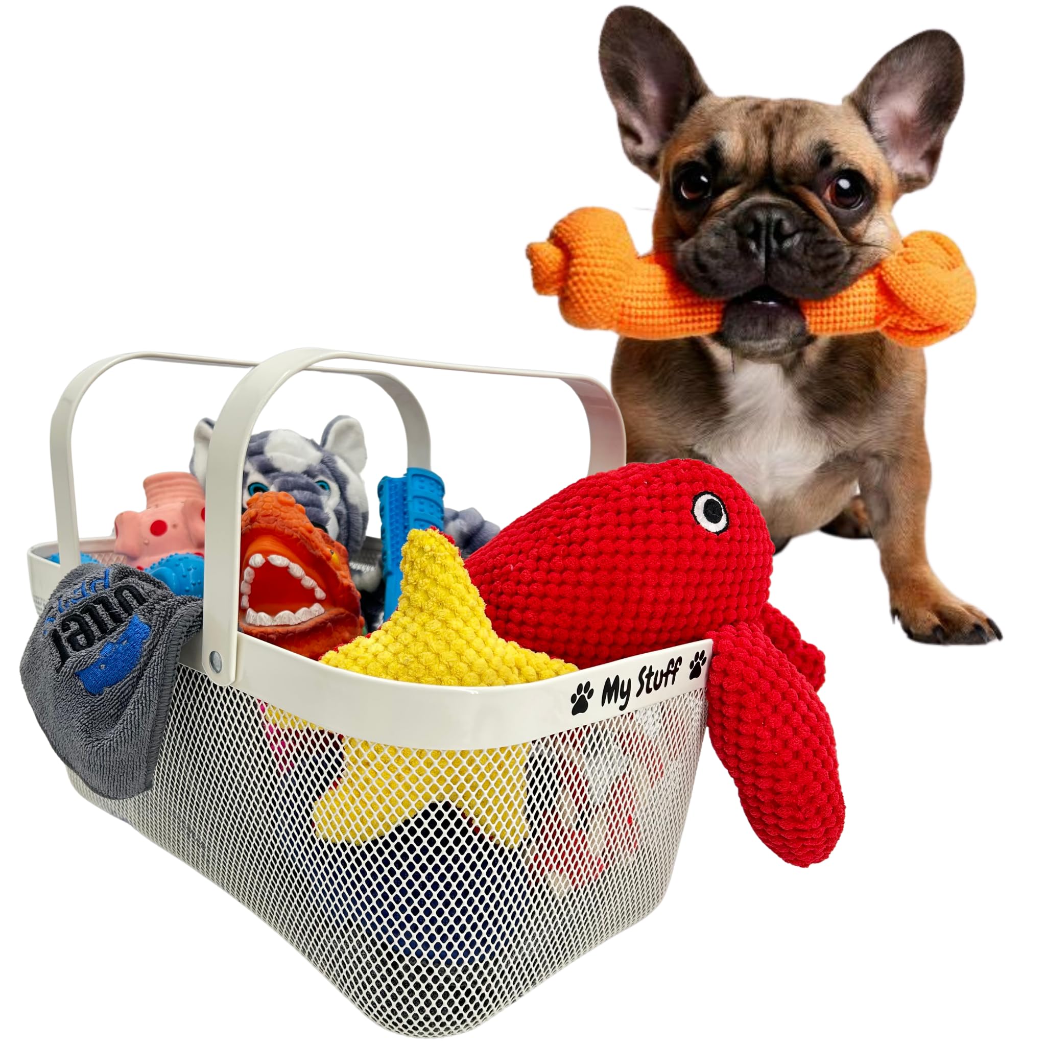 OtterPets dog toy-bin storage-capacity image shows space for leashes and toys in tidy corners.