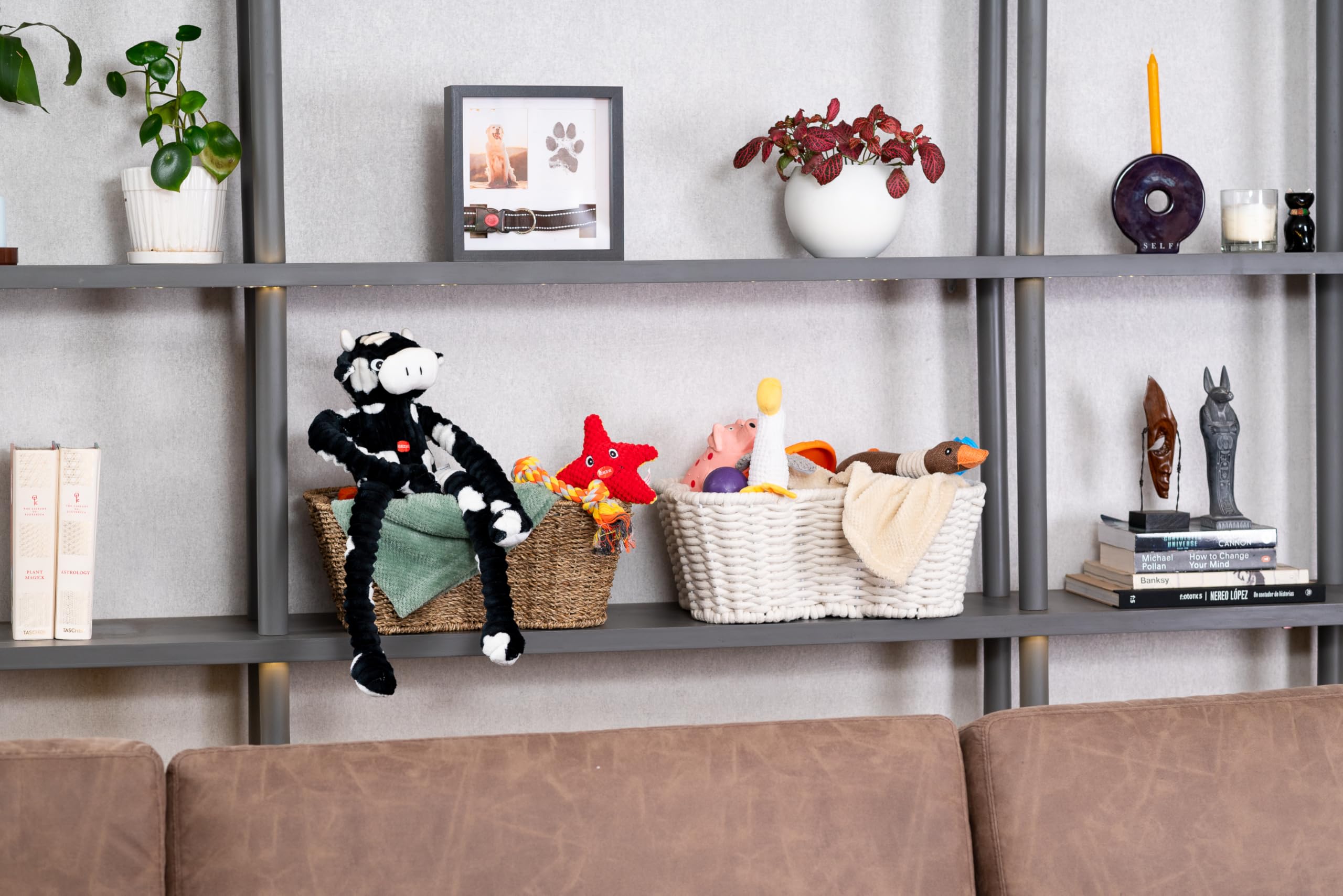 OtterPets easy-clean damp-wipe feature for low-maintenance care