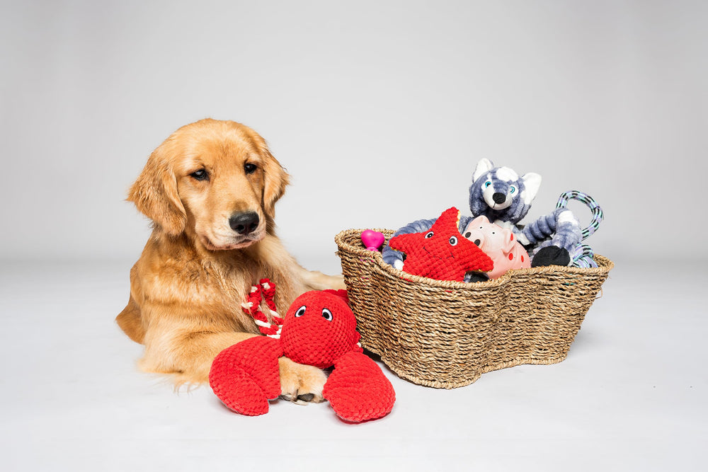 OtterPets handmade seagrass storage bin demonstrates durable craft