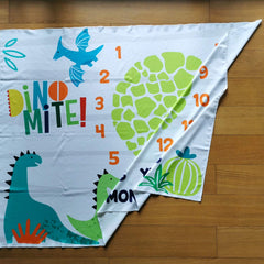 PAMBO dinosaur-month-blanket-frame-included highlights frame-ready keepsakes.