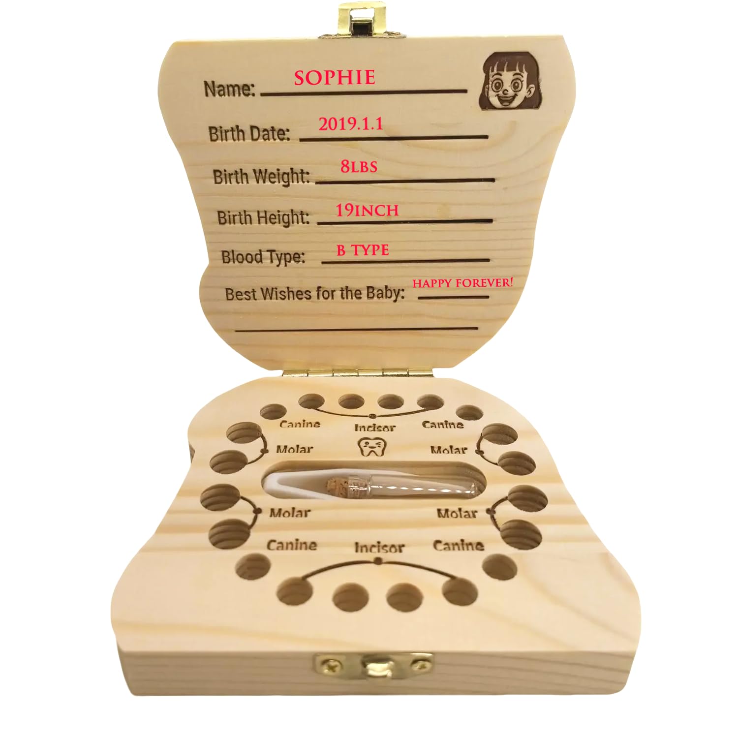 PAMBO tooth fairy box interior with openings for first teeth arranged