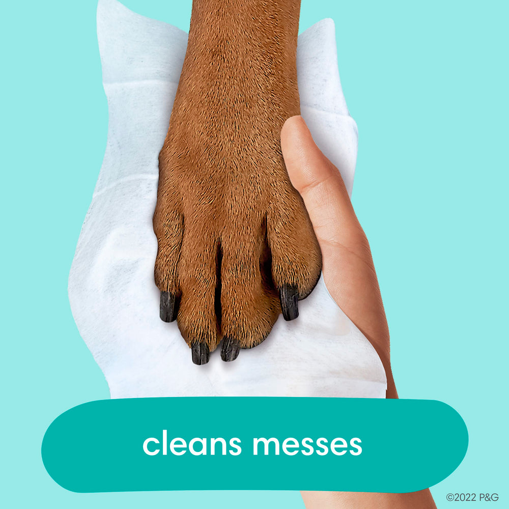 Pampers Multi-Use Wipes are dermatologically tested for everyday family use.