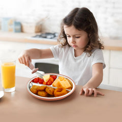 PandaEar plates divided-sections highlight balanced meals and food variety.