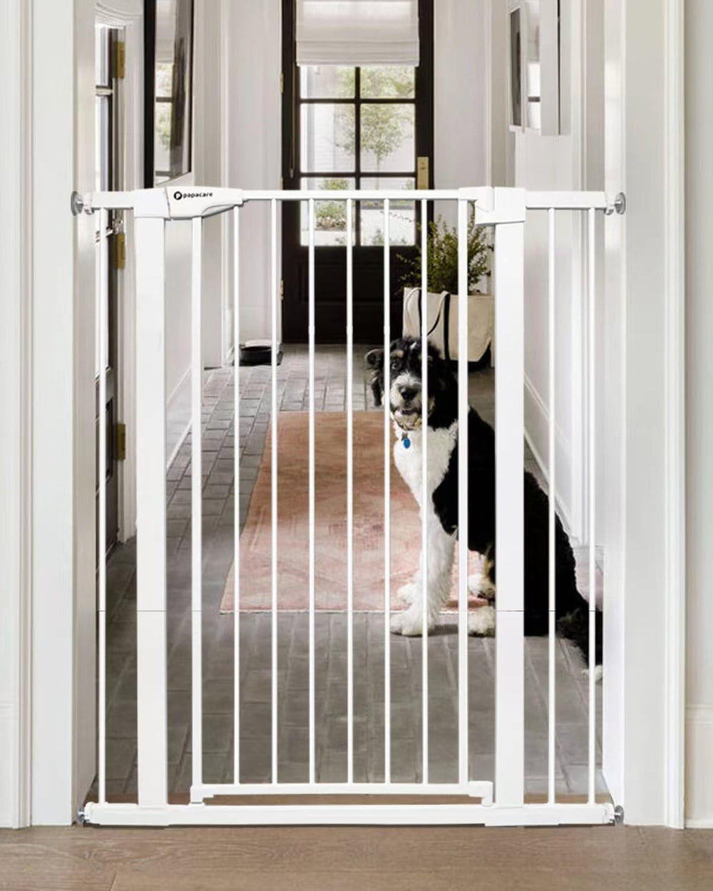 Papacare 42in gate height demonstrates tall barrier for stair safety.