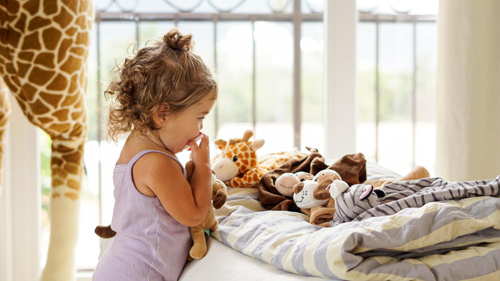 Pepe n Tito dishwasher-safe, top rack feature simplifies cleaning