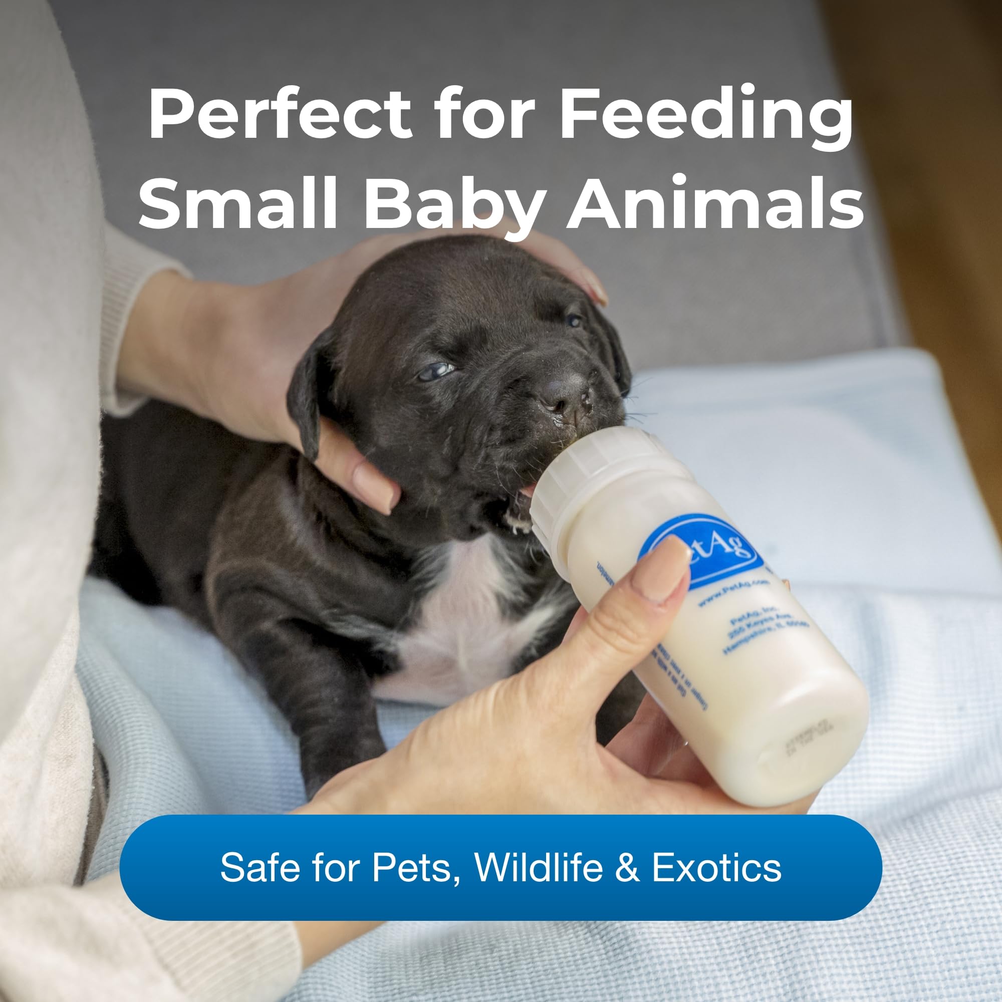 PetAg Nursing Kit bottle brush for easy thorough cleaning between feedings