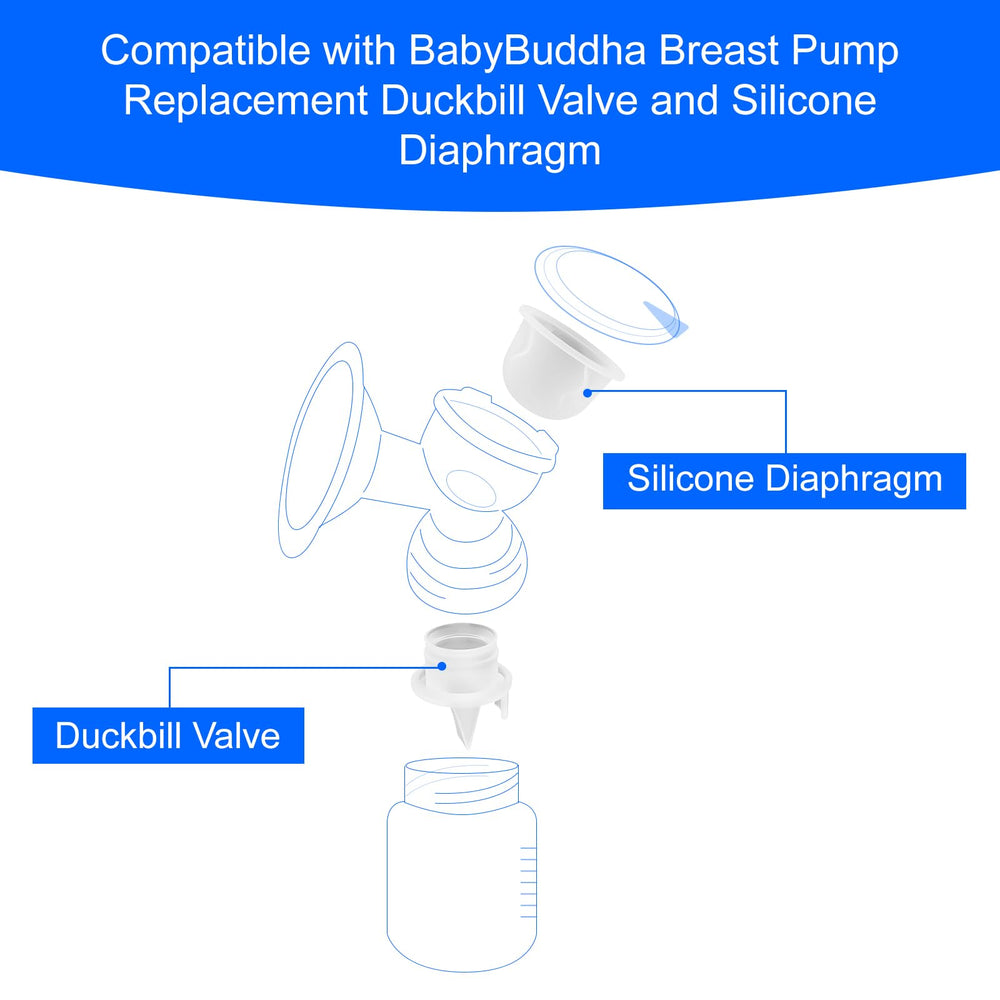 PEUTIER silicone diaphragm close-up—soft, durable diaphragm for clean pumping.