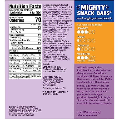 Plum Organics Mighty Snack Bars blueberry close-up highlighting organic ingredients for healthy snacking
