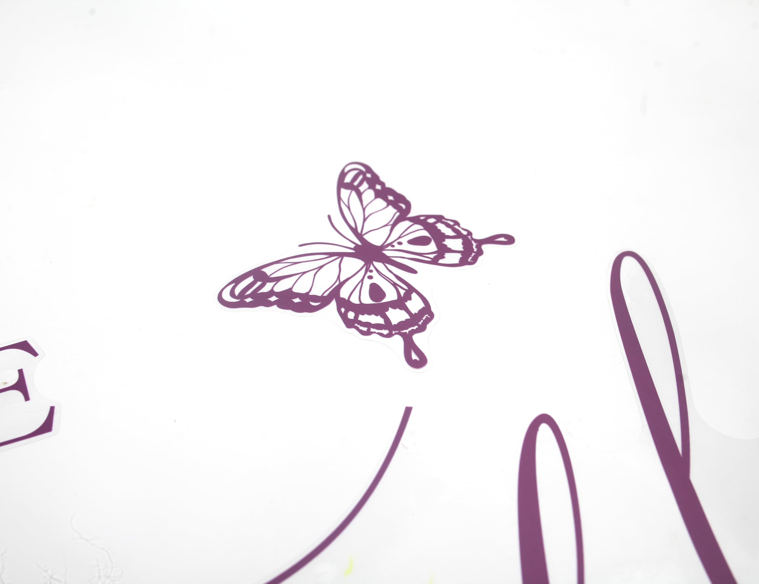 PQQIEE Butterfly Decal pink-photo-backdrop frames precious family moments.