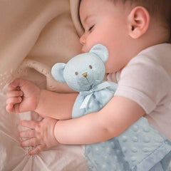 Pro Goleem Teddy Bear Lovey blue 16inch close-up soft plush fabric