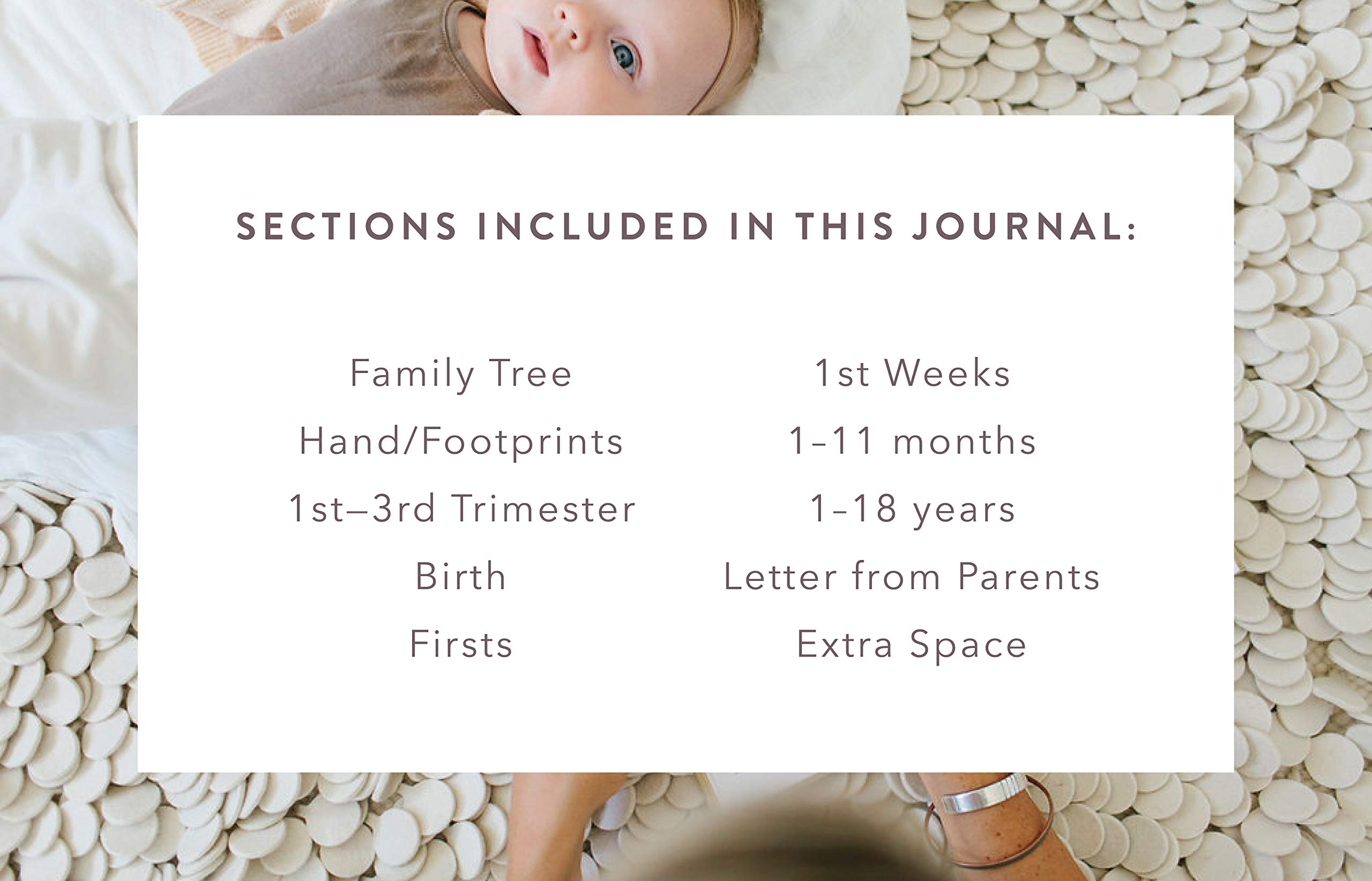 Promptly Journals family milestones layout highlights key moments from pregnancy onward.