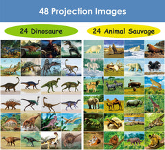 Pup Go projector torch wild animals disc displays wildlife scenes for learning.