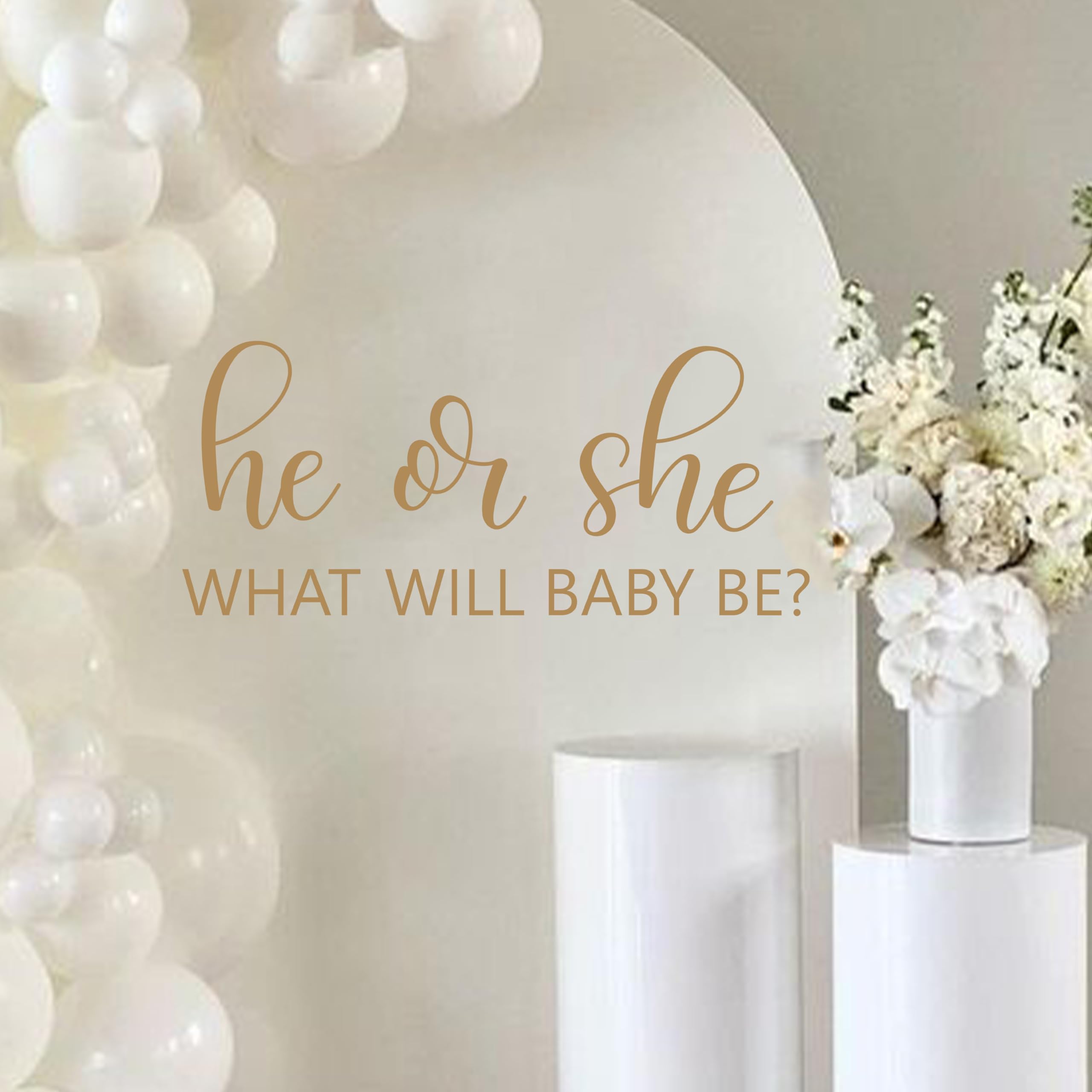 QIANGDAGSI He or She decal backdrop for gender reveal photos