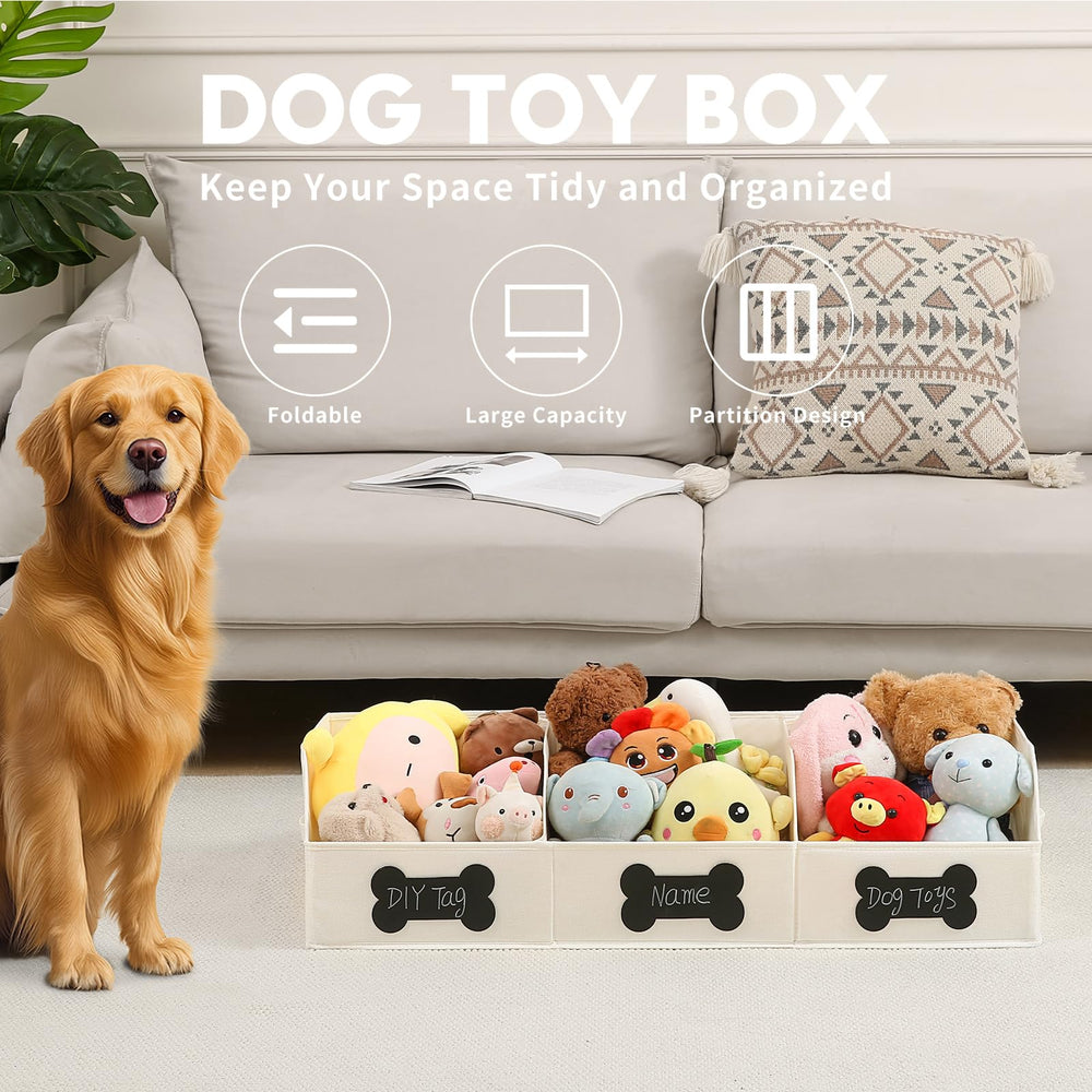Qozary DIY bone tags highlight personalized naming for multiple dogs during playtime organization