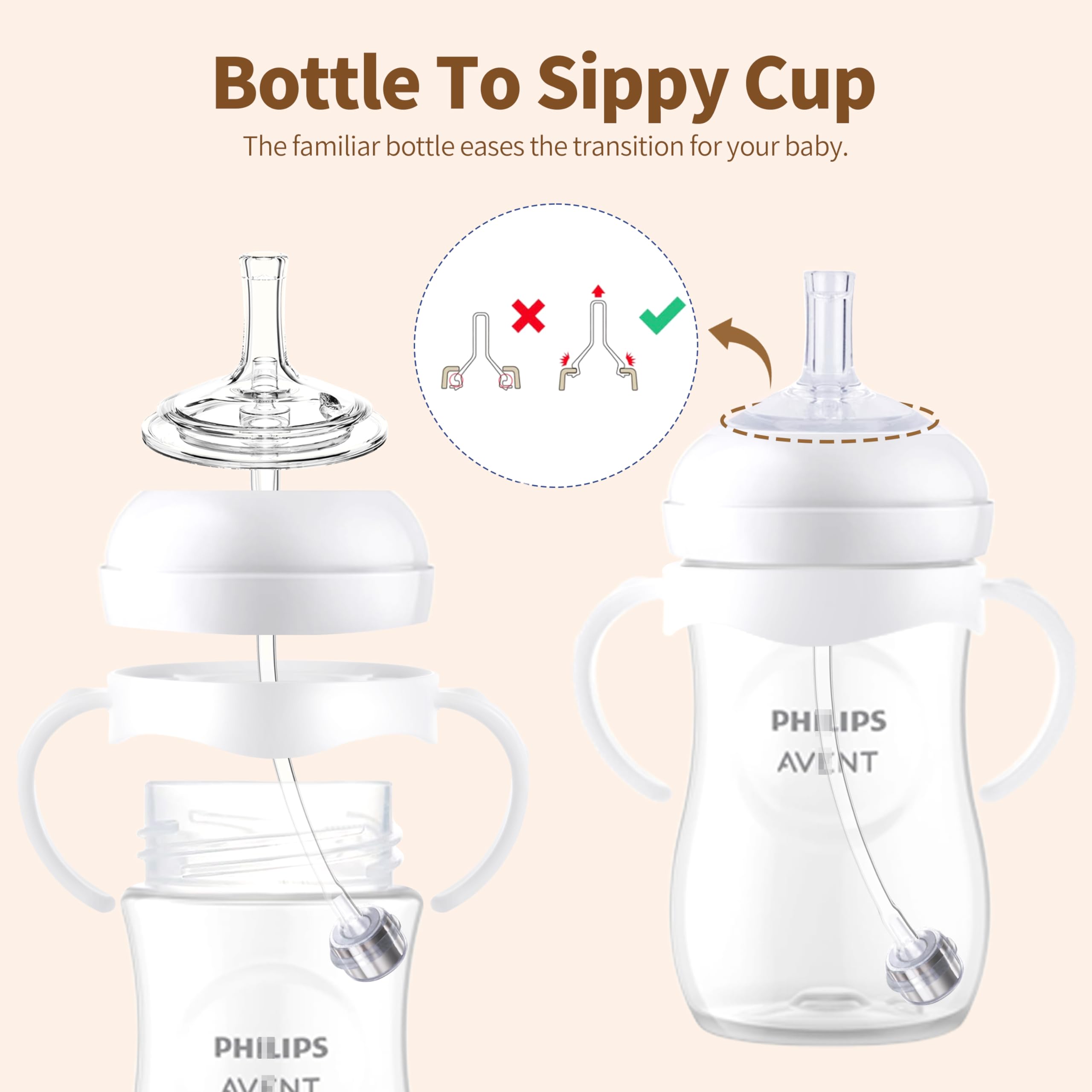 Qunland transition kit closeup showcases ready-to-use feeding solution.