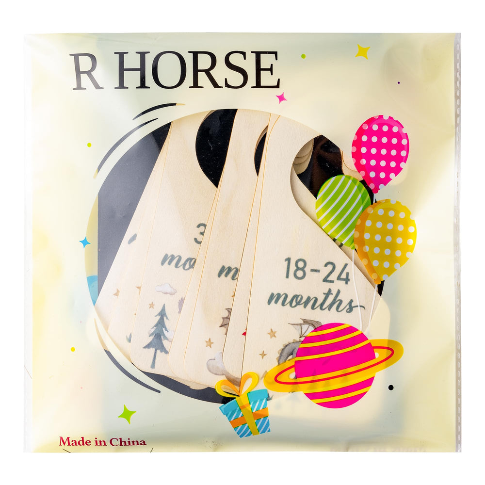 R HORSE dragon-theme nursery decor plus practical dividers for tidy space.