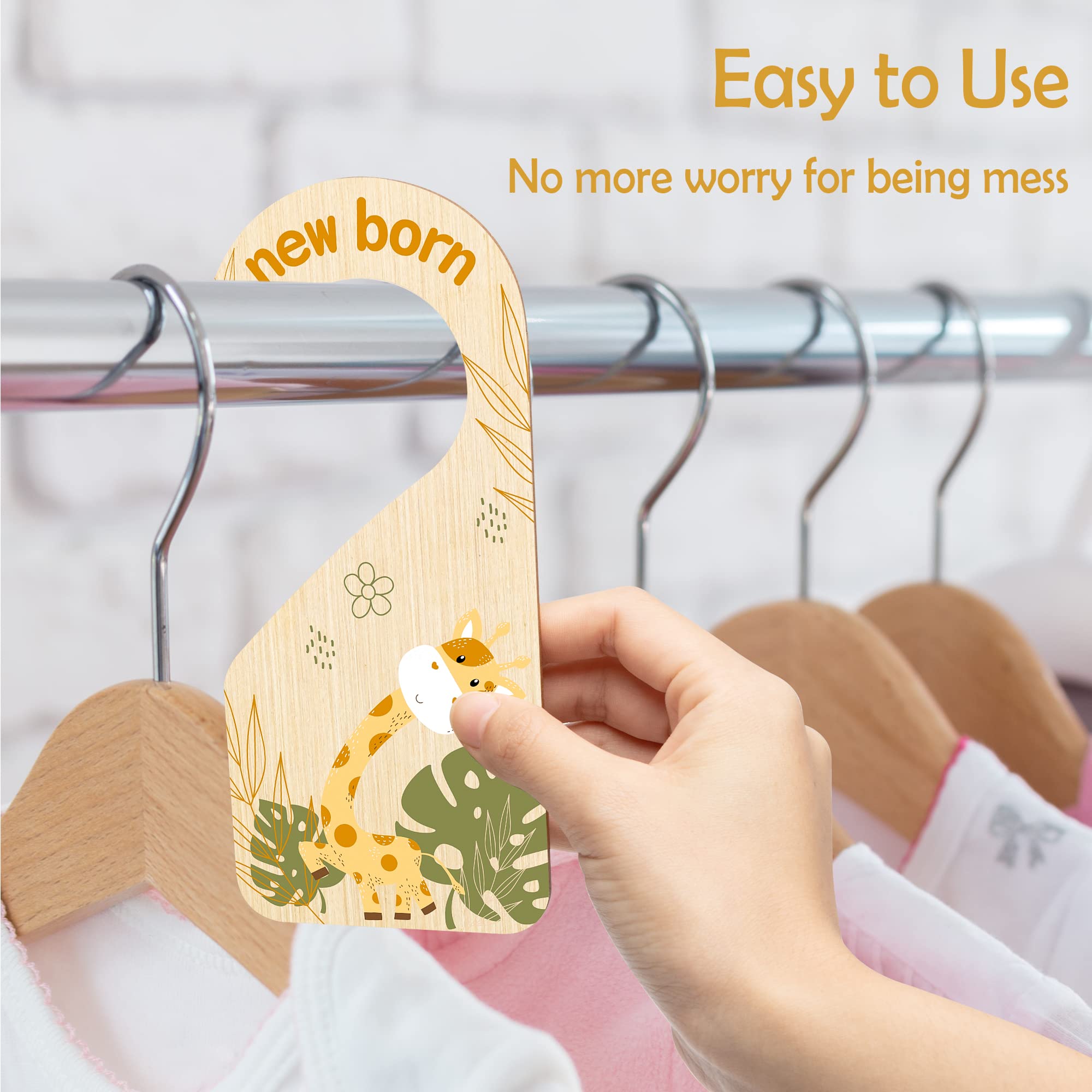 R HORSE laser-cut wood divider reveals precision details with safe fit in most closets.