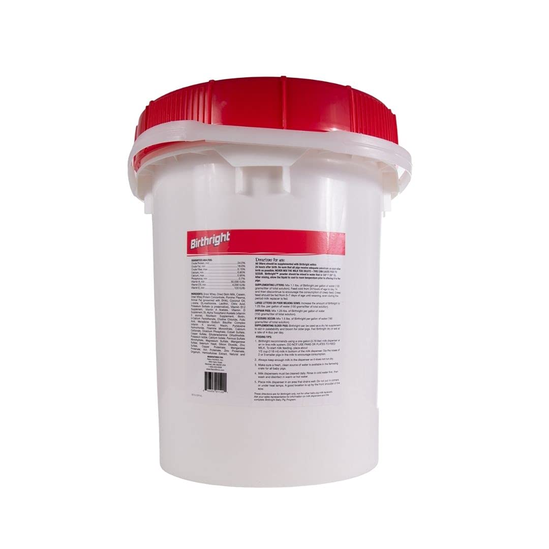 Ralco Show Birthright 25lb bag—high-energy nutrition for newborn piglets.
