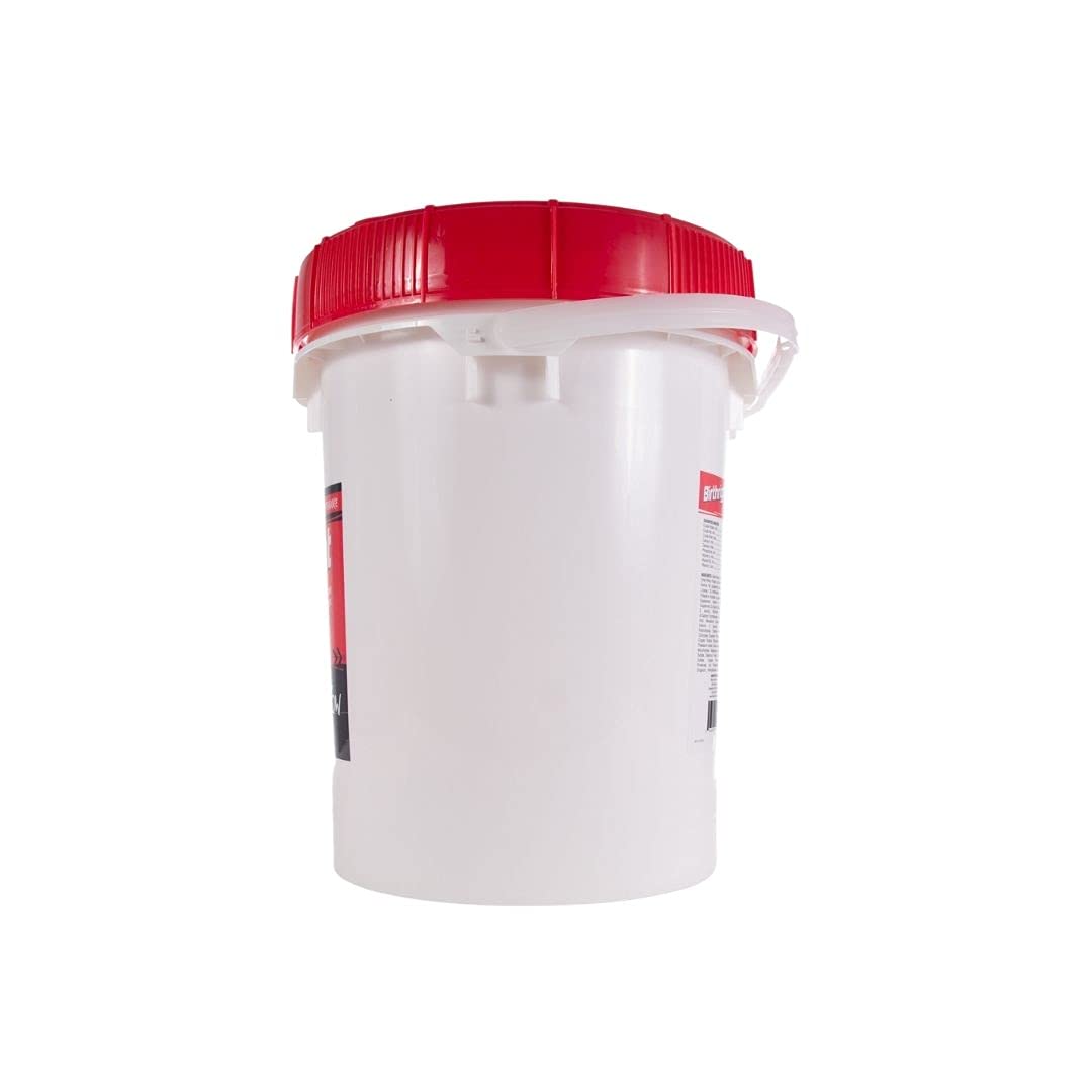 Ralco Show Birthright piglets feeding—supports digestion through slow-release proteins.