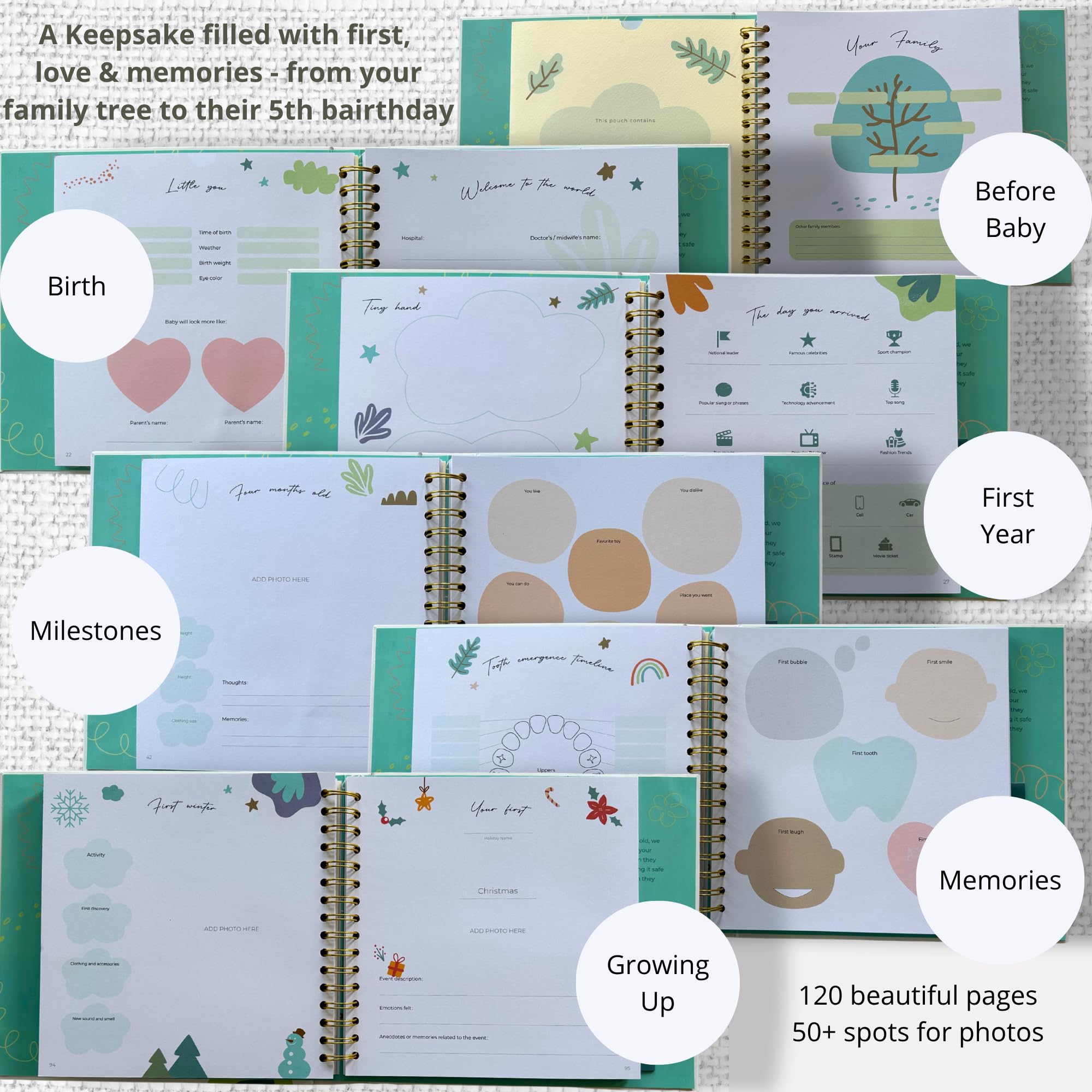 Raytiss Little You photo pockets at chapter starts help organize ultrasound images and photos.