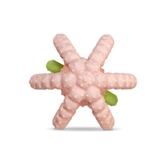 RaZbaby Bites cooling-ready silicone can be frozen for soothing relief