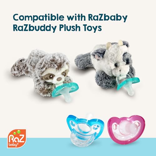 RaZbaby JollyPop teal pacifier with curved design for comfortable fit.