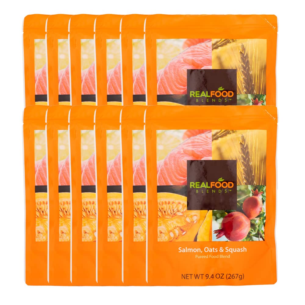 Real Food Blends salmon-oats-squash-puree plate—protein-rich lunch option for blenderized feeding.