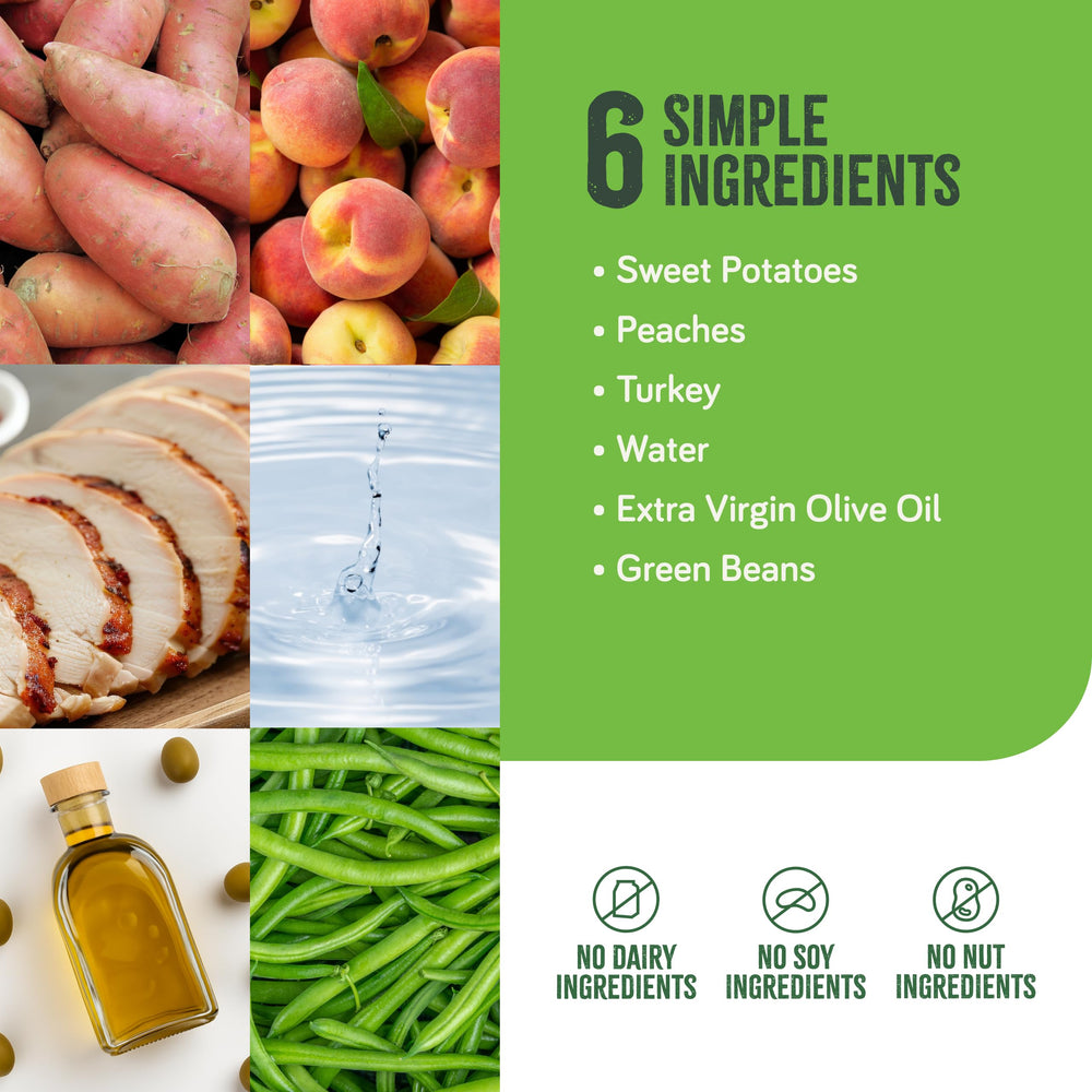 Real Food Blends tube-feeding setup demonstrates bolus method with puree.