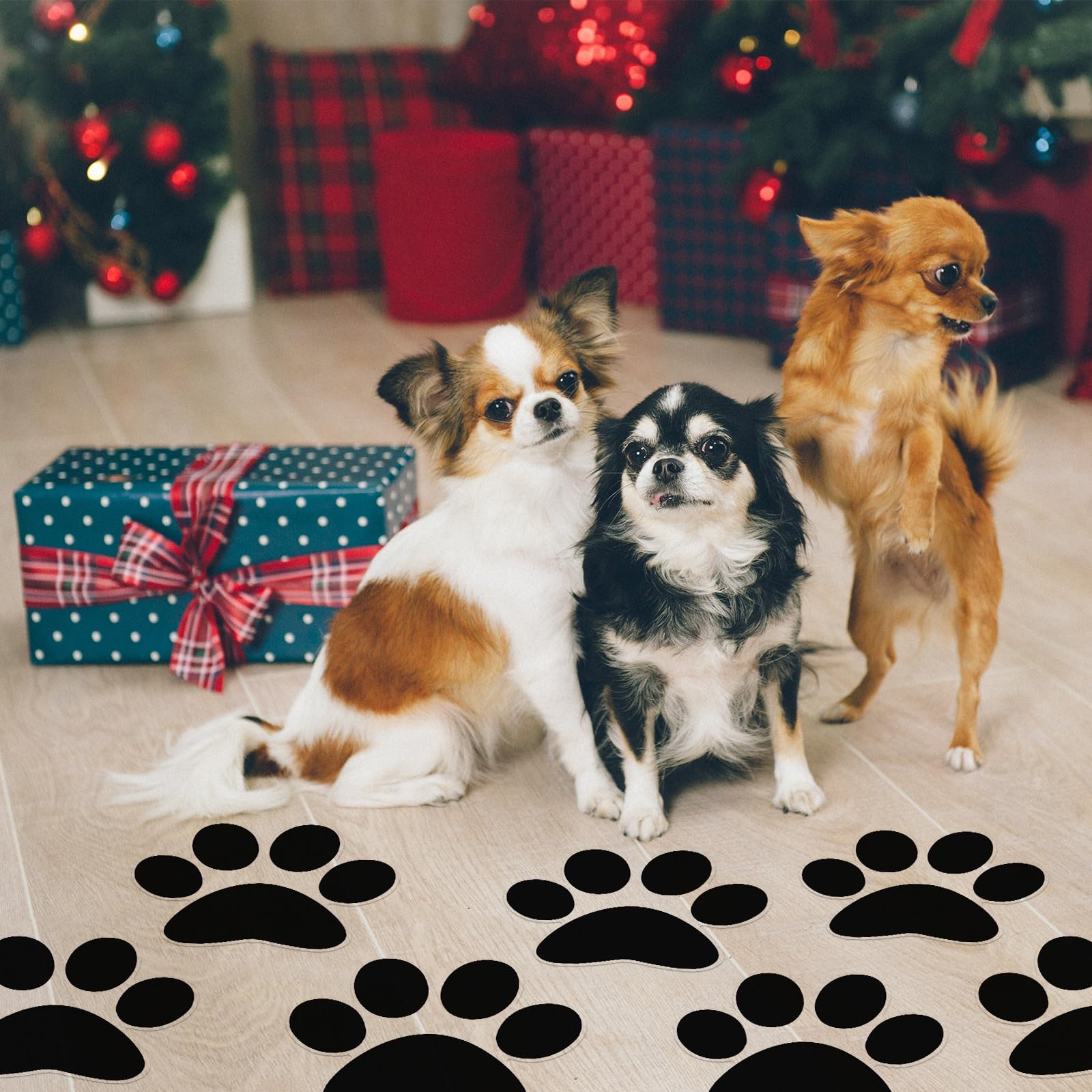 ReliThick paw decals outline dance steps or pathways in studios or events.