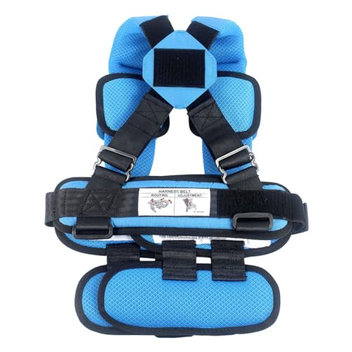 RideSafer Large Blue used with top tether for added stability.