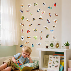 Robmoda glow-in-the-dark spider wall decal adds friendly, educational room accents.
