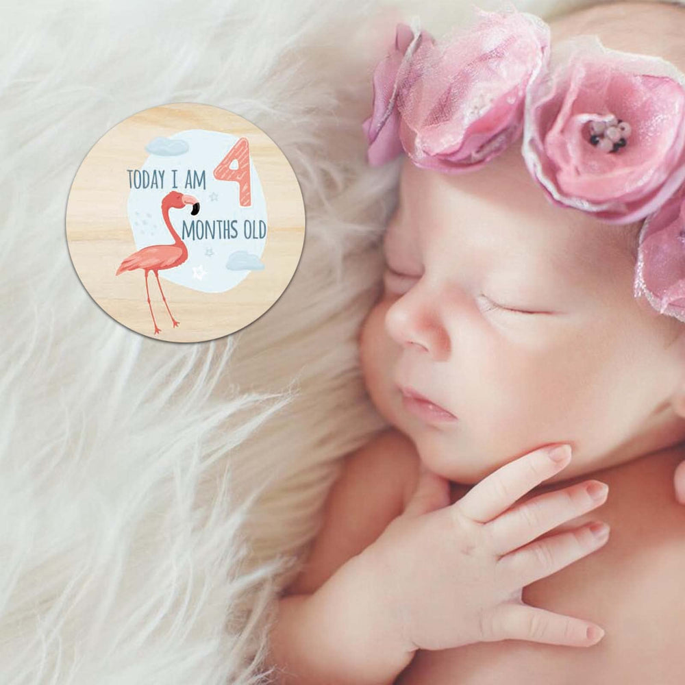 RORANIC baby monthly milestone cards provide month-by-month growth props