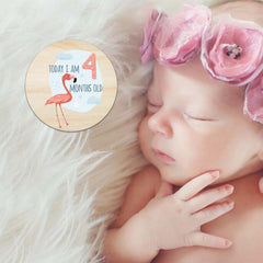 RORANIC baby monthly milestone cards provide month-by-month growth props