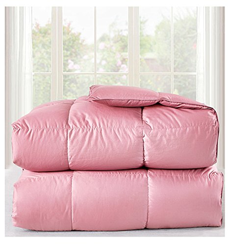 ROSE FEATHER all-season warmth for cozy naps and travel comfort.