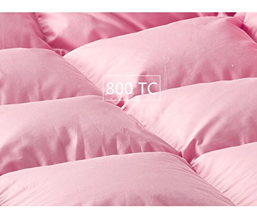 Rose Feather travel blanket folded for car rides and easy packing